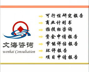 皮革項目商業計劃書編制服務 價格、規格與專業咨詢