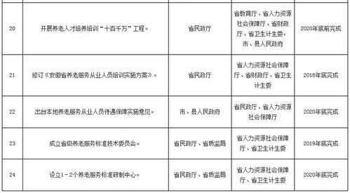 關于印發《安徽省構建多層次養老服務體系（2018-2020年）行動計劃》的通知——咨詢策劃服務方案